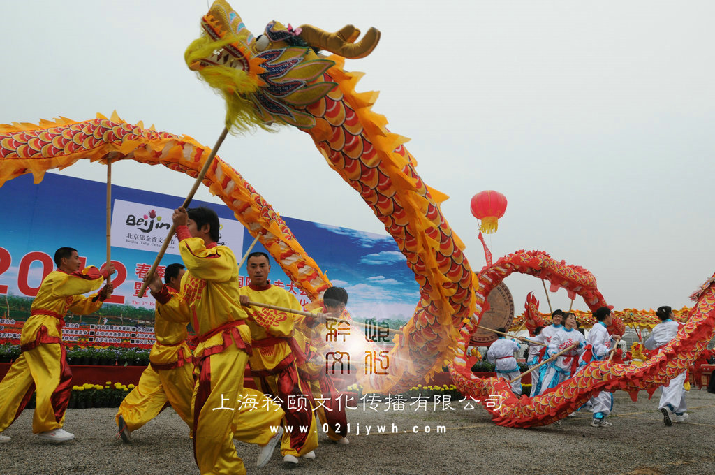 上海舞龍隊(duì)