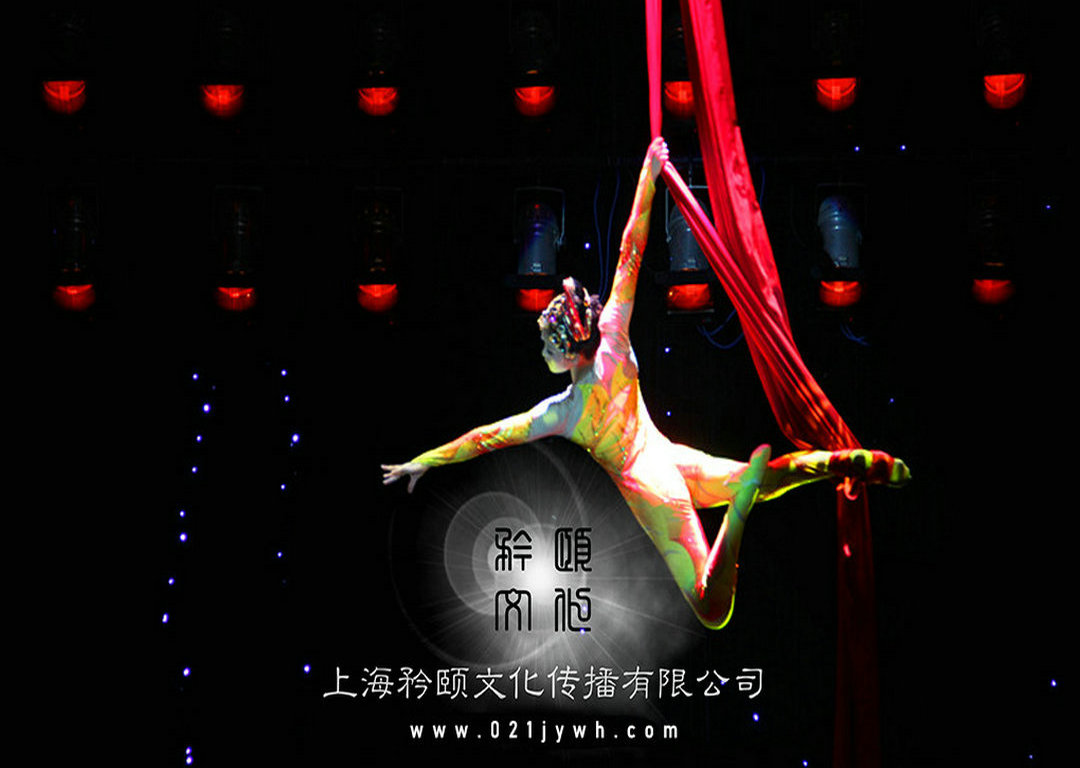 綢吊雜技