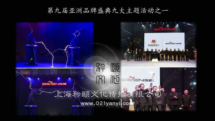 上海特斯拉線圈表演